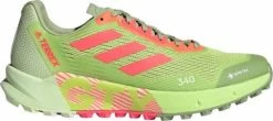 Trail shoes adidas TERREX AGRAVIC FLOW 2 GTX