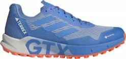 Trail shoes adidas TERREX AGRAVIC FLOW 2 GTX