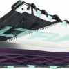 Trail shoes Altra M MONT BLANC