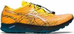 Trail shoes Asics FUJISPEED