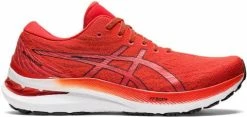 Running shoes Asics GEL-KAYANO 29