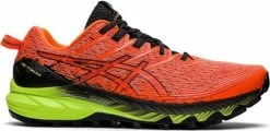 Trail shoes Asics GEL-Trabuco 10