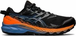 Trail shoes Asics GEL-Trabuco 10 GTX