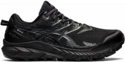 Trail shoes Asics GEL-Trabuco 10 GTX