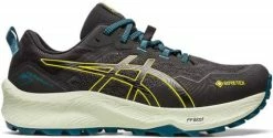 Trail shoes Asics GEL-Trabuco 11 GTX