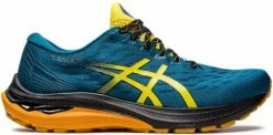 Trail shoes Asics GT-2000 11 TR