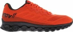 Running shoes INOV-8 F-LITE FLY G 295 M
