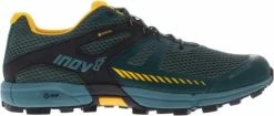 Trail shoes INOV-8 ROCLITE 315 GTX v2 M