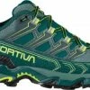 Trail shoes la sportiva Ultra Raptor II