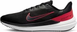 Running shoes Nike Air Winflo 9
