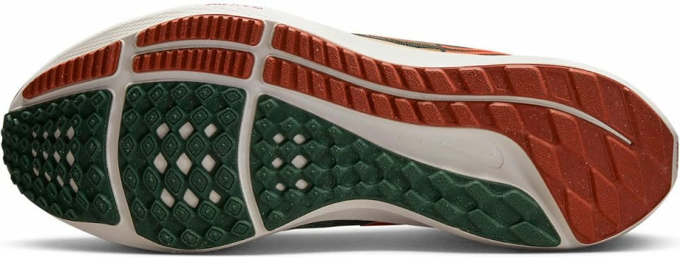Running shoes Nike Air Zoom Pegasus 39 A.I.R. Hola Lou 2 Running shoes Nike Air Zoom Pegasus 39 A.I.R. Hola Lou - Image 2