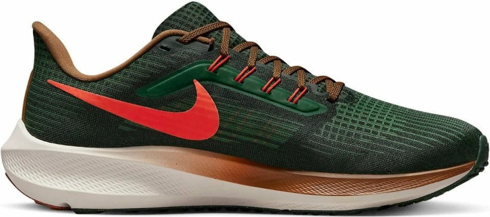 Running shoes Nike Air Zoom Pegasus 39 A.I.R. Hola Lou 3 Running shoes Nike Air Zoom Pegasus 39 A.I.R. Hola Lou - Image 3