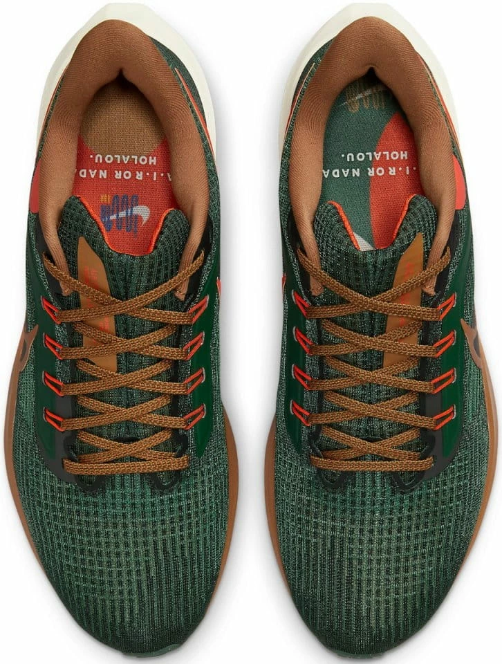 Running shoes Nike Air Zoom Pegasus 39 A.I.R. Hola Lou 4 Running shoes Nike Air Zoom Pegasus 39 A.I.R. Hola Lou - Image 4