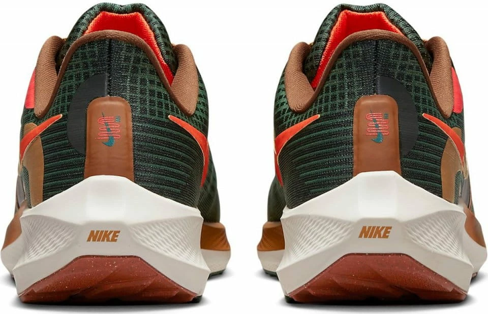 Running shoes Nike Air Zoom Pegasus 39 A.I.R. Hola Lou 5 Running shoes Nike Air Zoom Pegasus 39 A.I.R. Hola Lou - Image 5