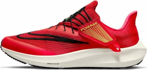 Running shoes Nike Air Zoom Pegasus 39 FlyEase 1 Running shoes Nike Air Zoom Pegasus 39 FlyEase