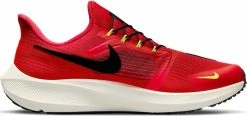Running shoes Nike Air Zoom Pegasus 39 FlyEase 7 Running shoes Nike Air Zoom Pegasus 39 FlyEase -NIKE SHOP nike air zoom pegasus 39 flyease 442762 dj7381 602 960