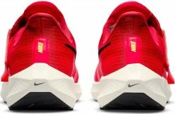 Running shoes Nike Air Zoom Pegasus 39 FlyEase 9 Running shoes Nike Air Zoom Pegasus 39 FlyEase -NIKE SHOP nike air zoom pegasus 39 flyease 442762 dj7381 604 960