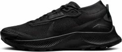 Shoes Nike Pegasus Trail 3 GTX