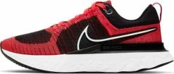 Running shoes Nike React Infinity Run Flyknit 2