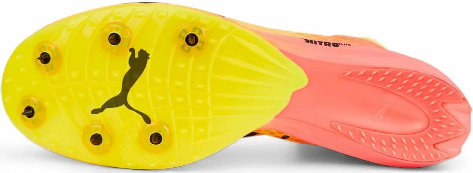 Track shoes/Spikes Puma evoSPEED Distance Nitro Elite 2 Track shoes/Spikes Puma evoSPEED Distance Nitro Elite - Image 2