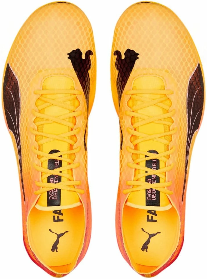 Track shoes/Spikes Puma evoSPEED Distance Nitro Elite 4 Track shoes/Spikes Puma evoSPEED Distance Nitro Elite - Image 4