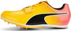 Track shoes/Spikes Puma evoSPEED Long Jump 10