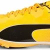 Track shoes/Spikes Puma evoSPEED Sprint 14
