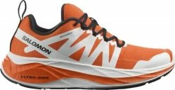 Running shoes Salomon GLIDE MAX