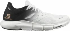 Running shoes Salomon Predict2