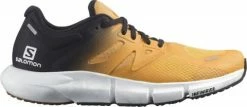 Running shoes Salomon PREDICT2