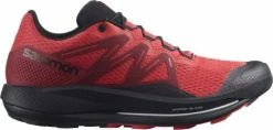 Shoes Salomon PULSAR TRAIL