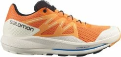 Shoes Salomon PULSAR TRAIL