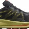Shoes Salomon PULSAR TRAIL GTX