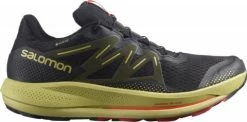 Shoes Salomon PULSAR TRAIL GTX