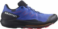 Shoes Salomon PULSAR TRAIL GTX