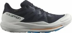 Shoes Salomon PULSAR TRAIL GTX