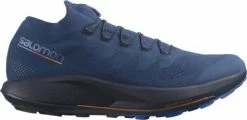 Trail shoes Salomon PULSAR TRAIL/PRO