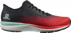 Running shoes Salomon SONIC 4 Accelerate