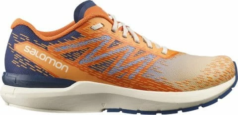 Running shoes Salomon SONIC 5 Balance 1 Running shoes Salomon SONIC 5 Balance