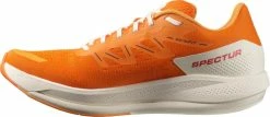 Running shoes Salomon SPECTUR -NIKE SHOP salomon spectur 466287 l41589805 960
