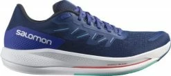 Running shoes Salomon SPECTUR