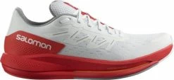 Running shoes Salomon SPECTUR