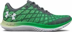 Running shoes Under Armour UA FLOW Velociti Wind 2