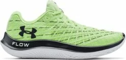 Running shoes Under Armour UA FLOW Velociti Wind